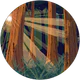 Sinem Sena profil fotoğrafı