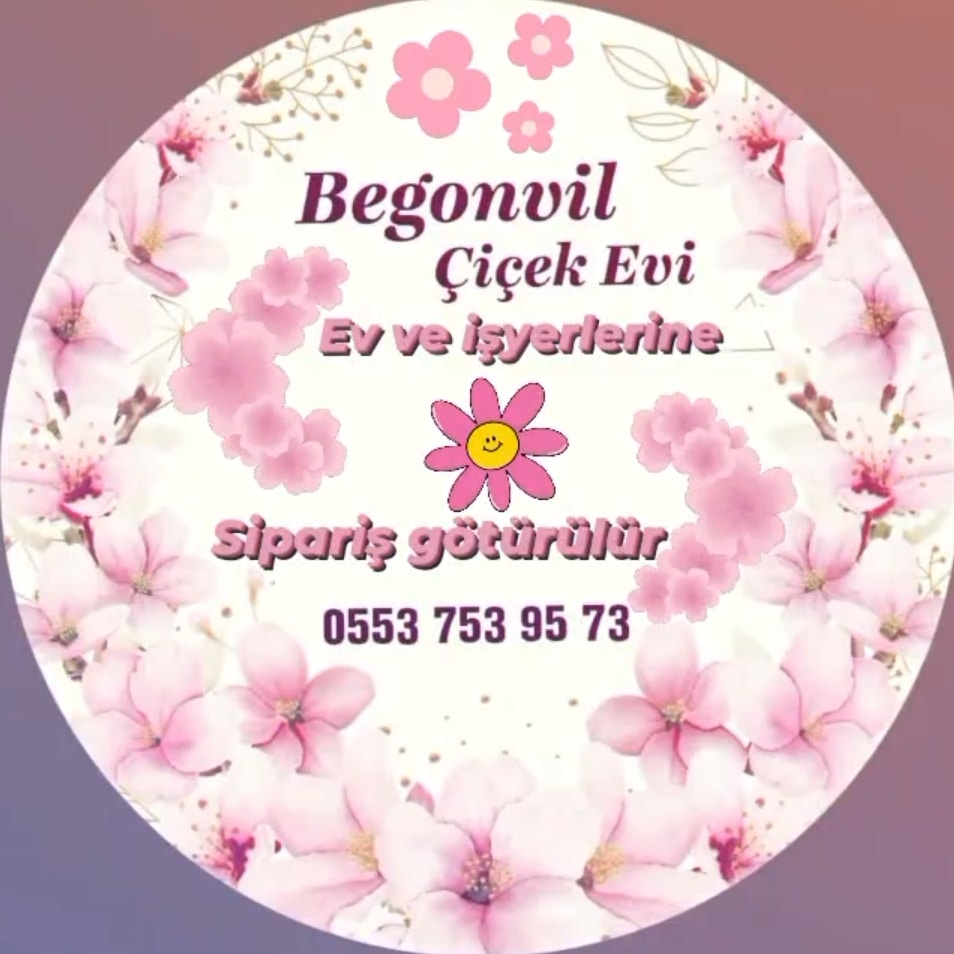 Begonvil çiçekçilik Erzurum çiçekçi