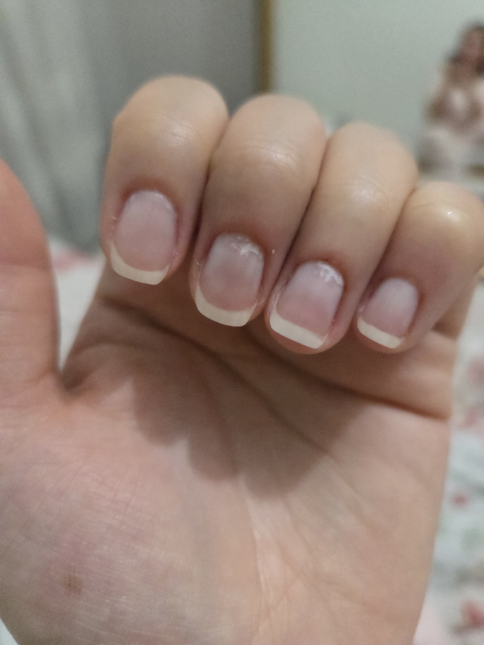 Elina Beauty Studio