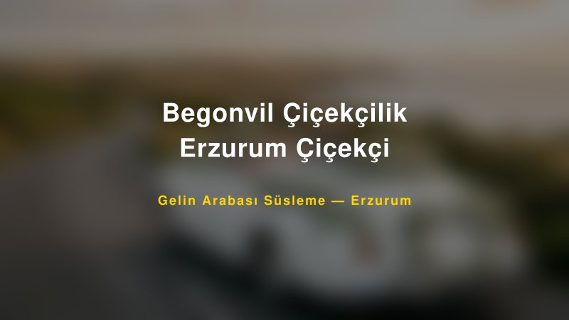 Begonvil Çiçekçilik Erzurum Çiçekçi ile Trend Gelin Arabası Yazıları ve Konseptleri
