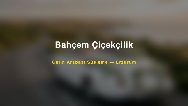 Bahçem Çiçekçilik ile Trend Gelin Arabası Yazıları ve Konseptleri